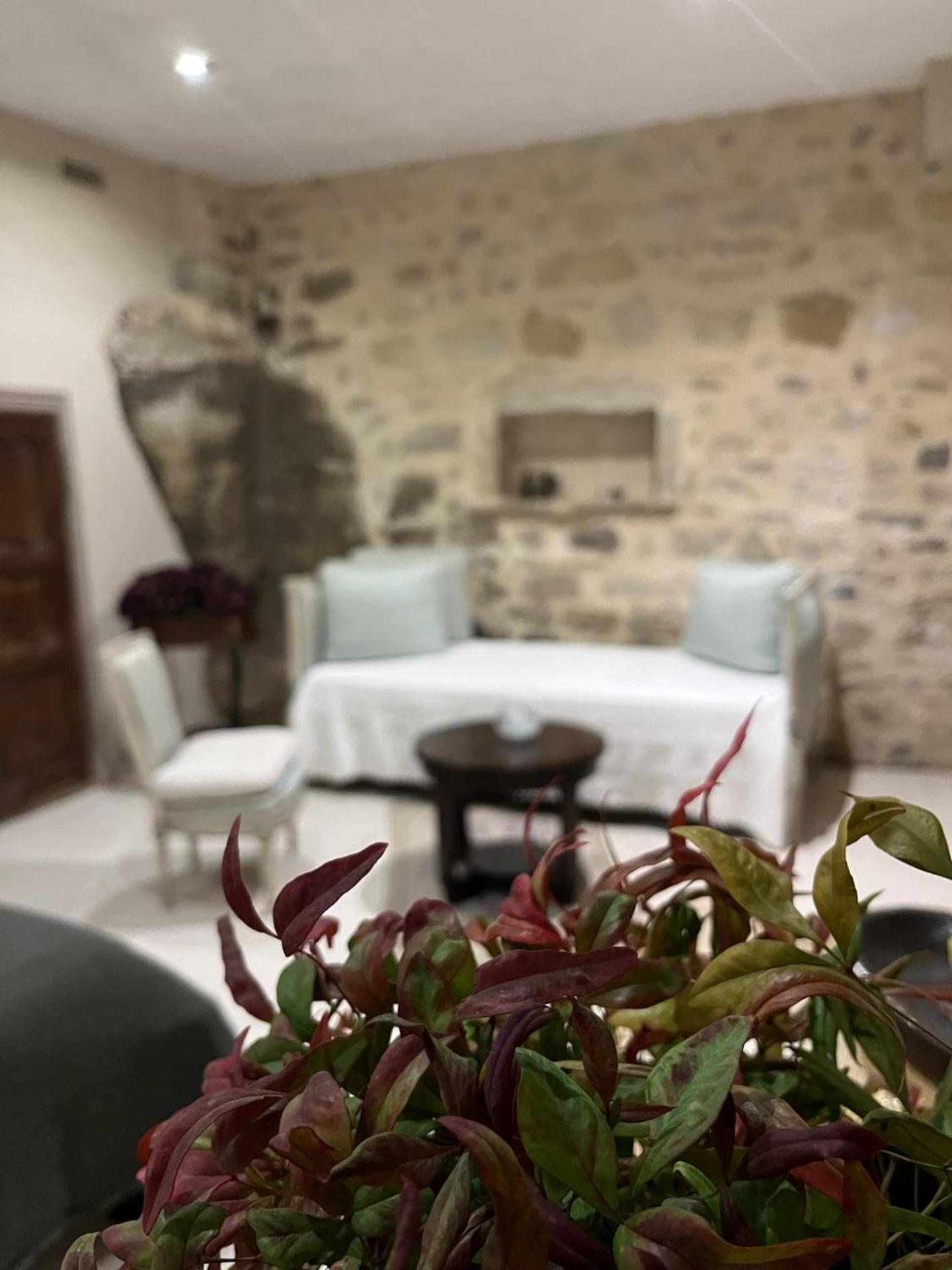 Le Logis D'Hortense Vic-le-Comte Exterior foto